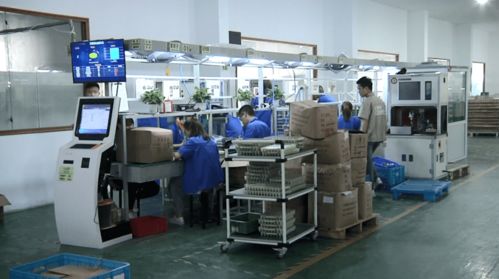創新引擎轟鳴岱山 島城科技發展與網絡技術新突破